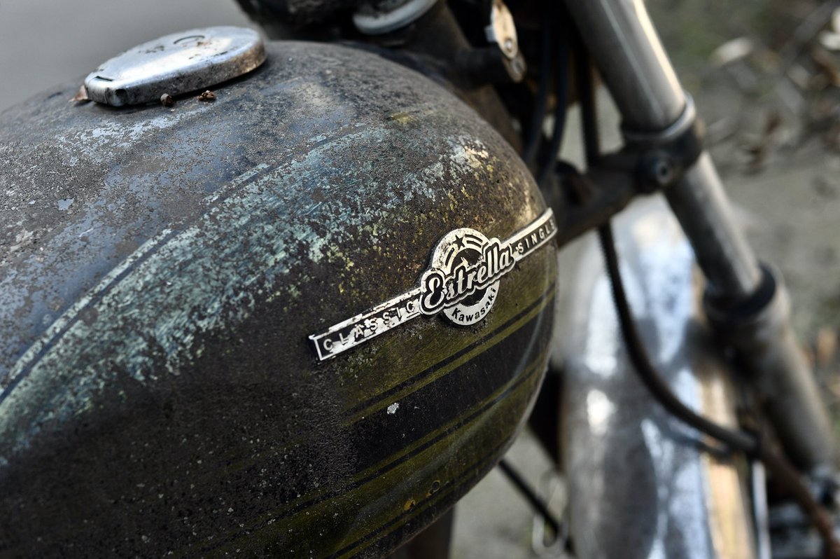 高橋 Big fish (@500_sr) / Posts / X