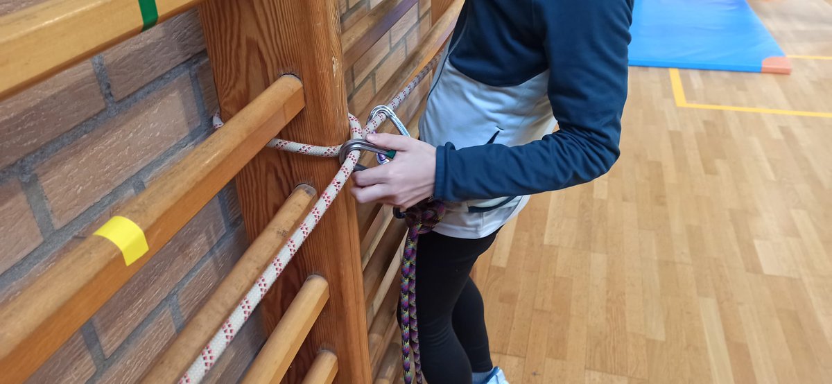 Luis Angulo tweet media