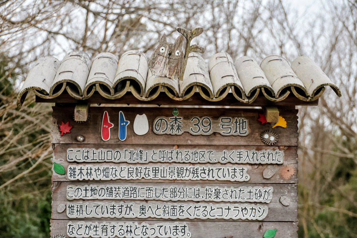 いいトコロ20260217
おはようございます。
曇りの朝になりました。
素敵な一日を。

#イマソラ #狭山湖
#トトロの森 #取水塔 #鴨
#あの日あの時所沢 #天晴れ
#来てくだ埼玉 #朝活 #散歩
#写真好きな人と繋がりたい
#トコろんと繋がる今日の空
#むなぞーと繋がる今日の空
#世莉奈さんと繋がる今日の空