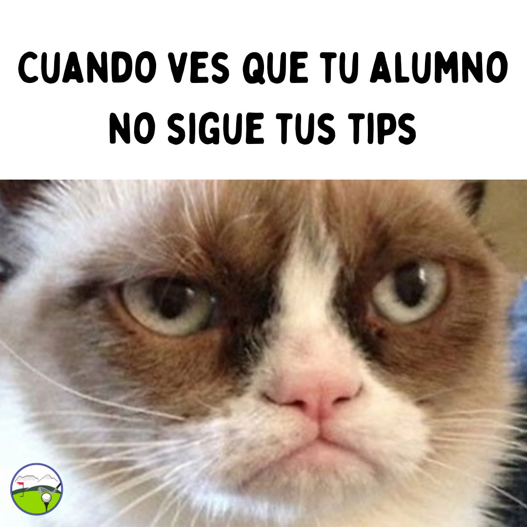 AGVM Golf tweet media