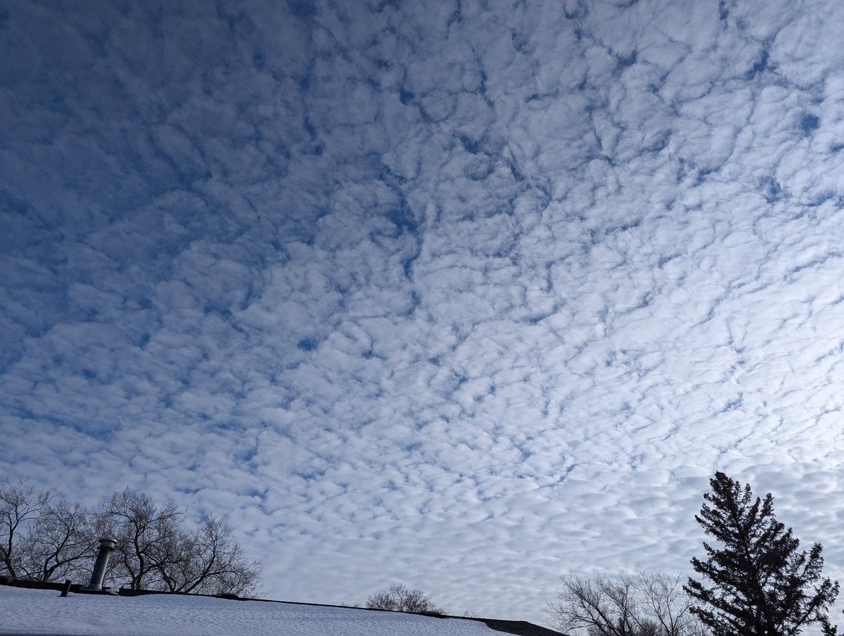 Spothe's tweet photo. Classic mackerel skies. This is indicative of atmospheric instability. Often rain or a storm can be expected within 24 hrs of spotting these clouds #mbstorm #cloudnerd https://t.co/aKldZXc5ZU