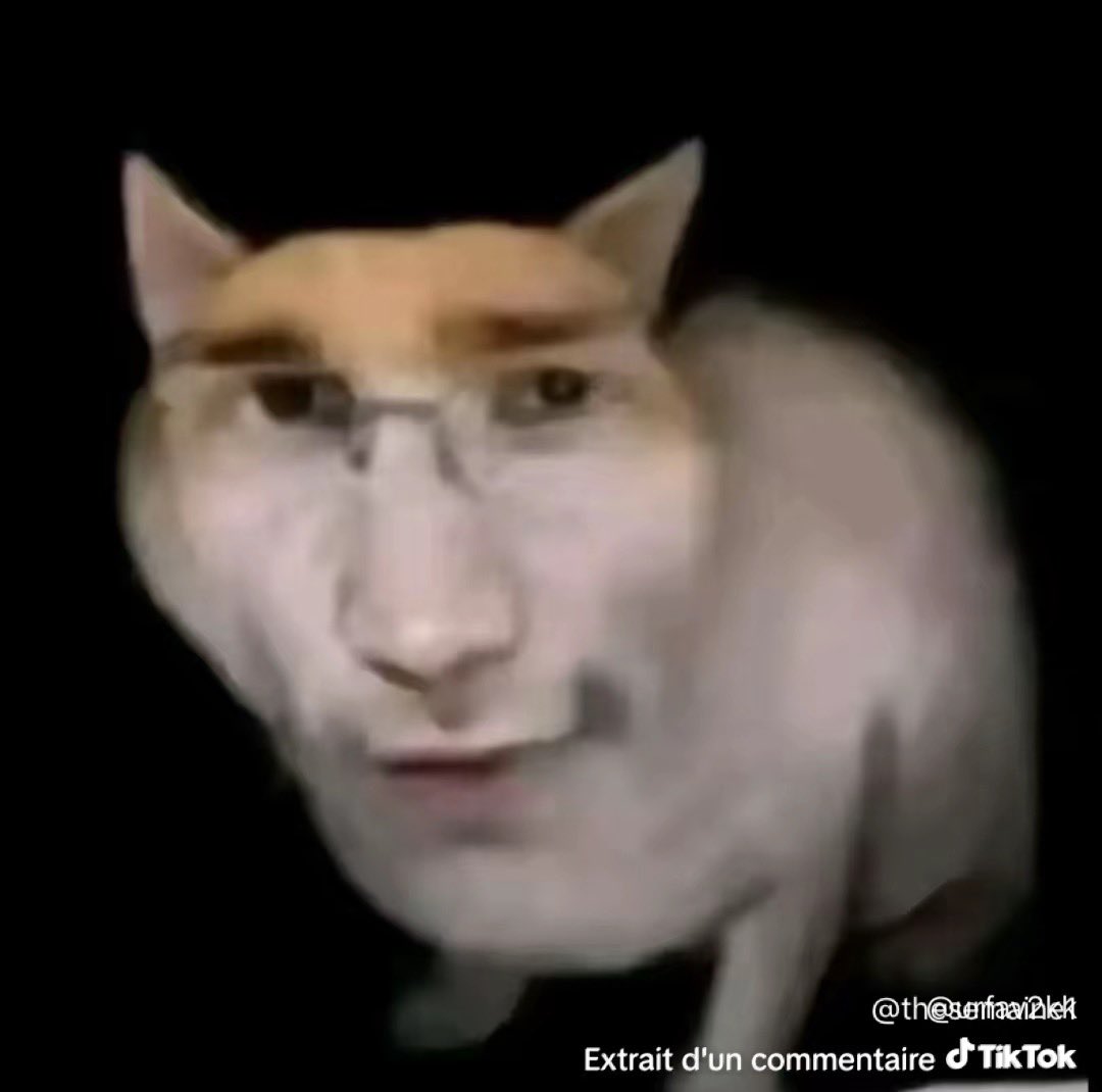 « Les gens pressés dans le métro »