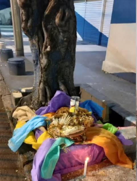 LaWahLayl's tweet image. Dois anos atrás