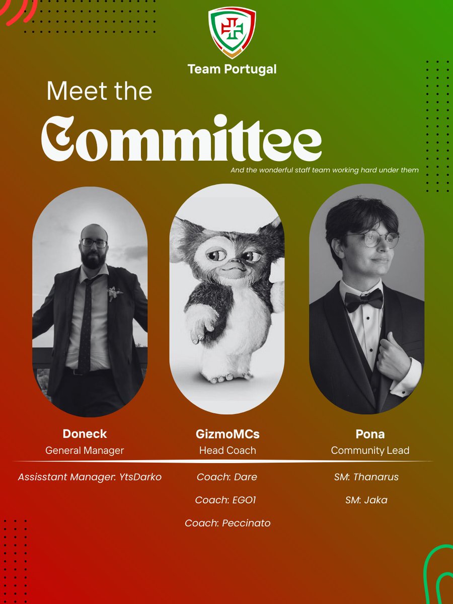 Team Portugal OW tweet media