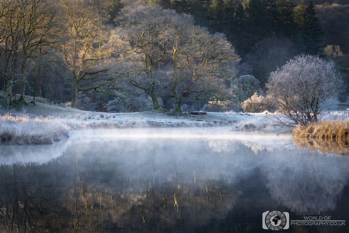 World Of Photography tweet media