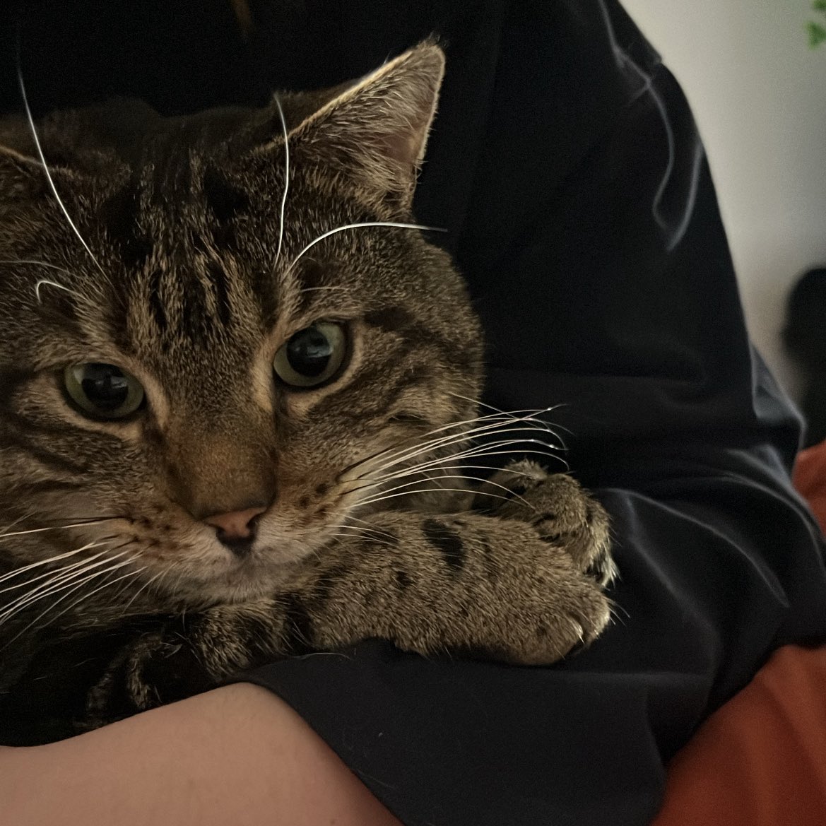 mon fils ma bataille