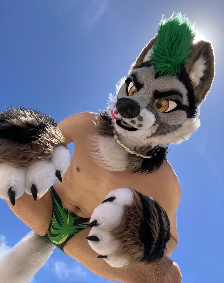 Woof!