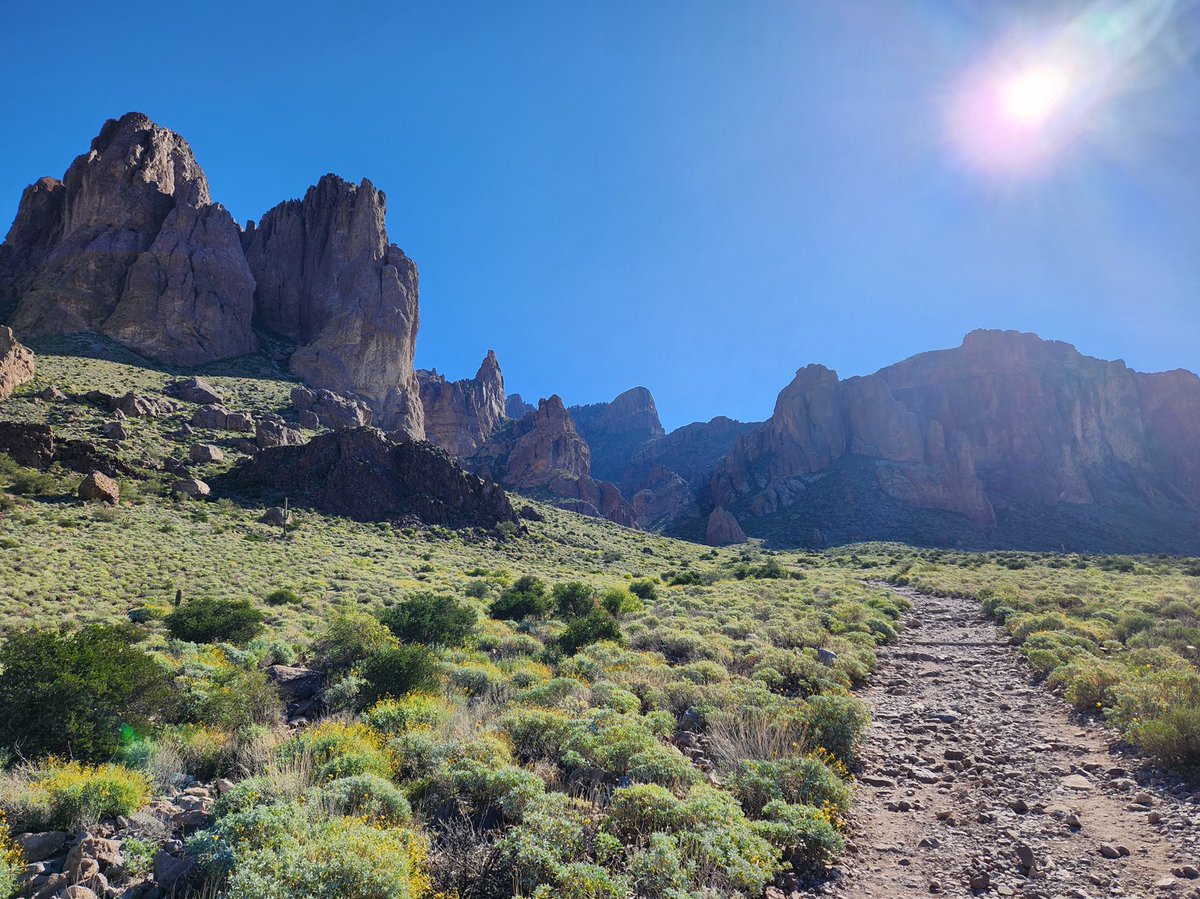 WolvesAndFinance tweet media