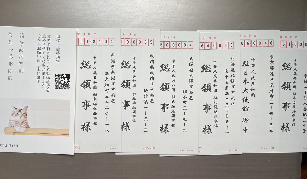 中国猫の拷問ビジネスを知った
2024年５月から

「貴国で行われている動物虐待をやめさせてください。」と書いたハガキを送っている

あの猫たちを救いたい

けれど
どうすれば救えるのかわからなくて

毎日、送る
今日も送る

#中国猫虐待グループ撲滅壊滅 
#中国猫の拷問ビジネス 
#中国猫のSOS