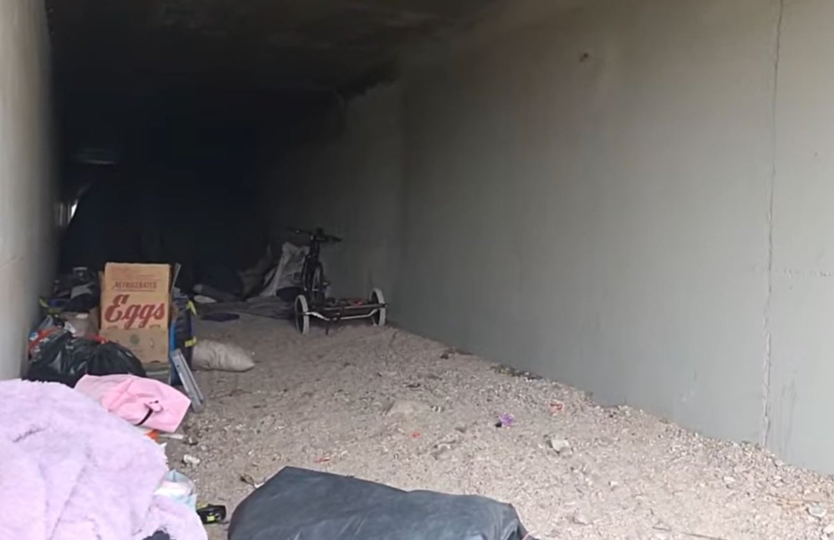 Sleuth Intuition tweet media