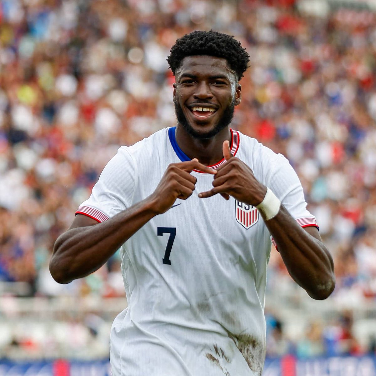 MP 🇺🇸 tweet media