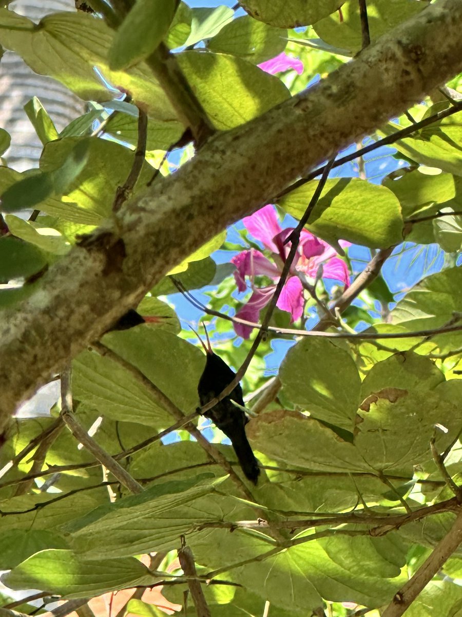 Jody with a y tweet media