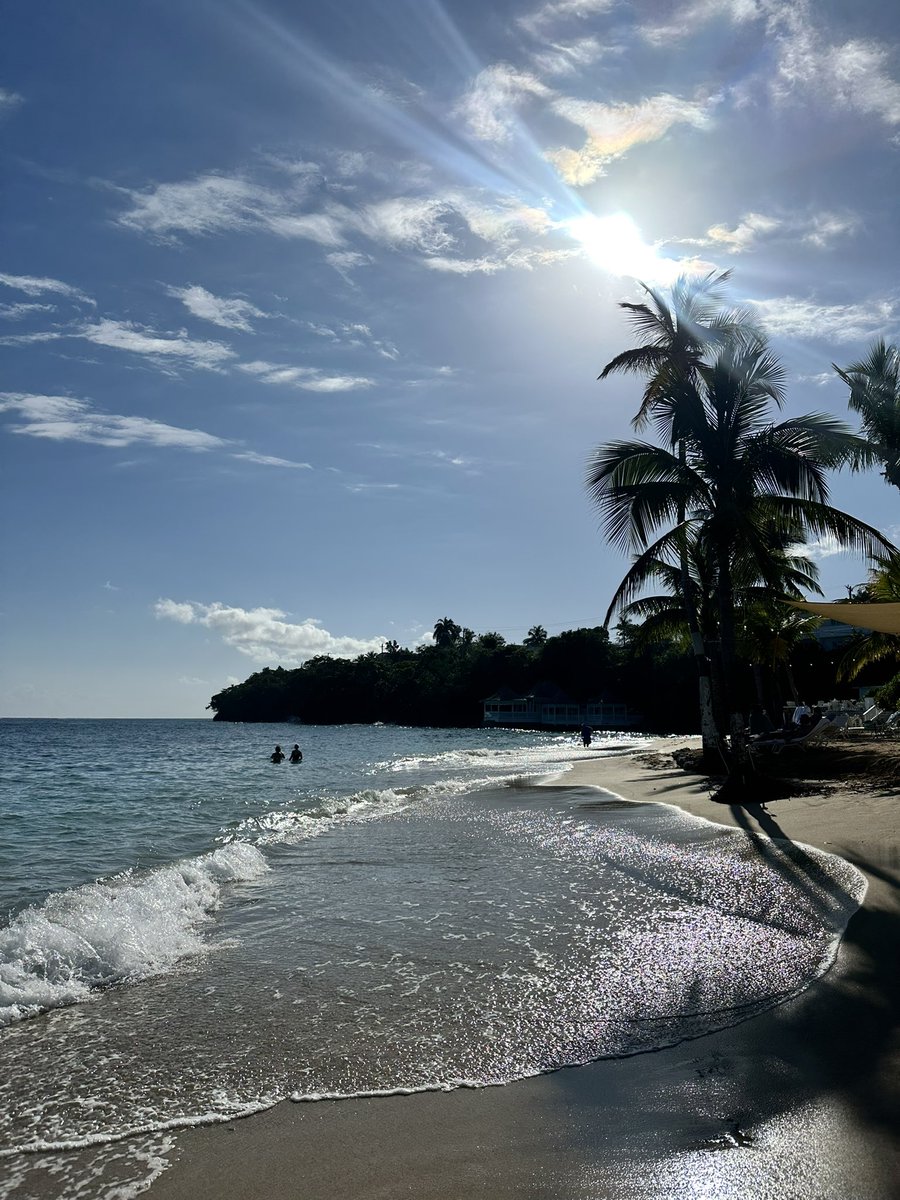 Jody with a y tweet media