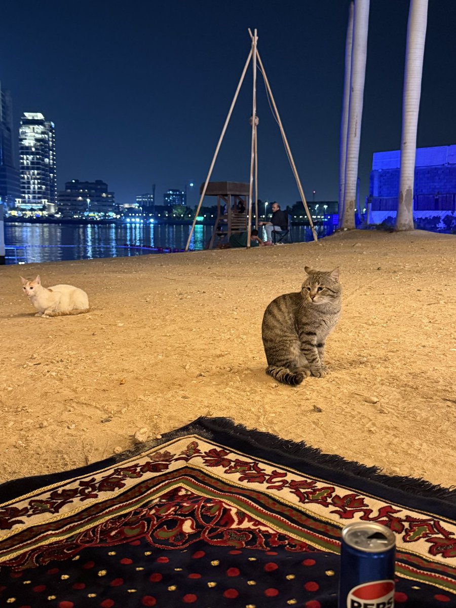 suh2b's tweet photo. بوديقارد II https://t.co/cwcRl5fFJO
