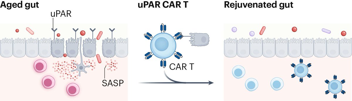 Norn Group tweet media