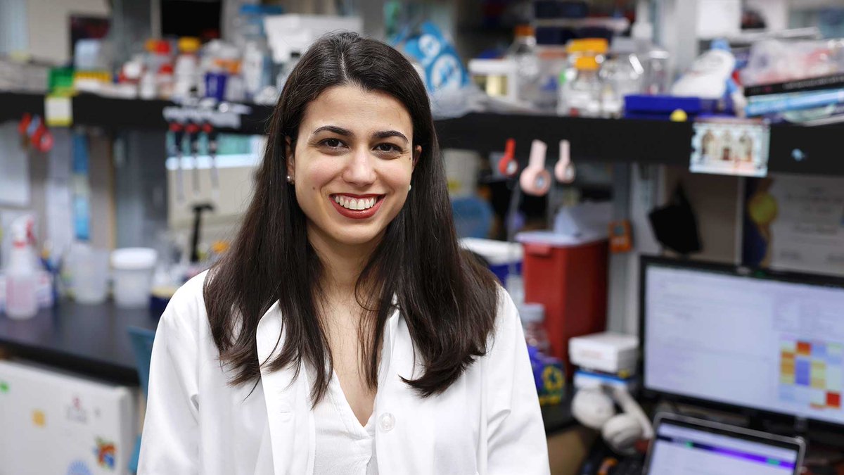 Norn Group tweet media