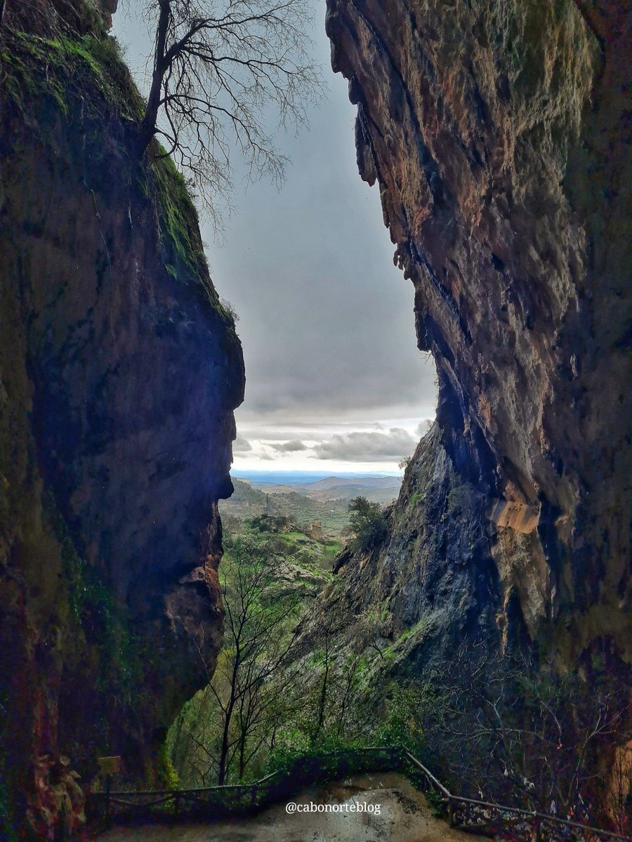 cabonorteblog tweet media