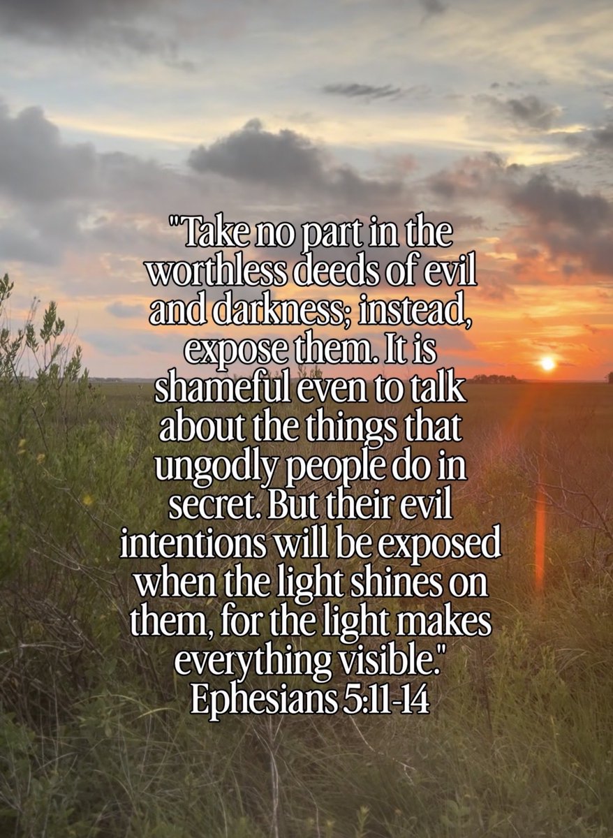 Carrie Madej tweet media