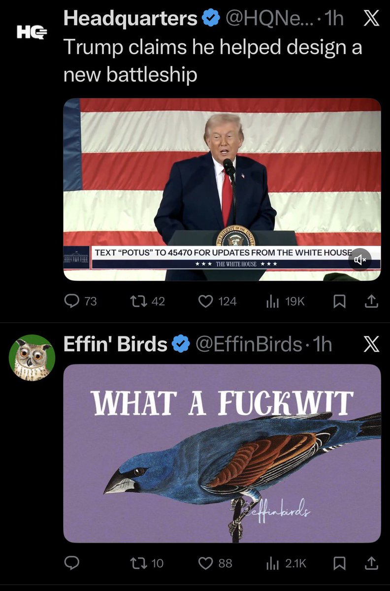 clifforddoc's tweet photo. @dieworkwear Sometimes the algorithm provides: https://t.co/9uFe7giJMk