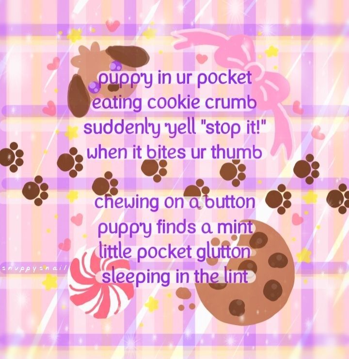 ૮•ᴥ•ა✧snuppy✧͟๑͟ő tweet media