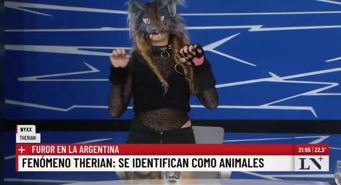 Estudia psicología y se percibe gato, seguro que ya la trata a <a href="/lilialemoine/">Lilia Lemoine 🍋</a>.