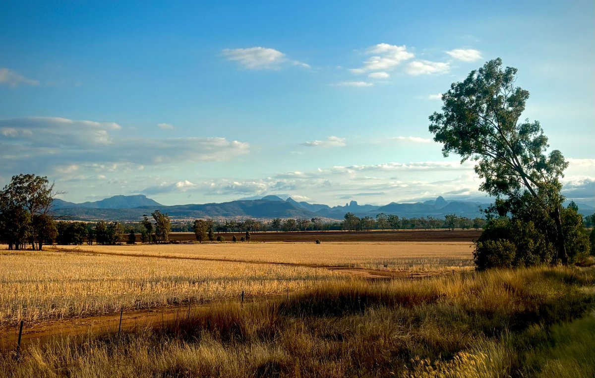 Kiaarn Dickens tweet media