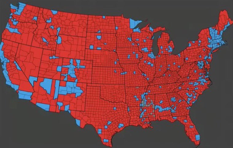 CanAmerican tweet media
