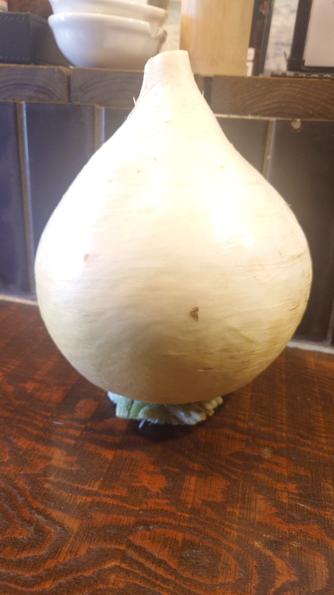 おはようさんです！
加湿器もろたw大根
中々おもろいw
オリンピックも大詰め🏅
楽しんでいかんと
本日も万全に🤙