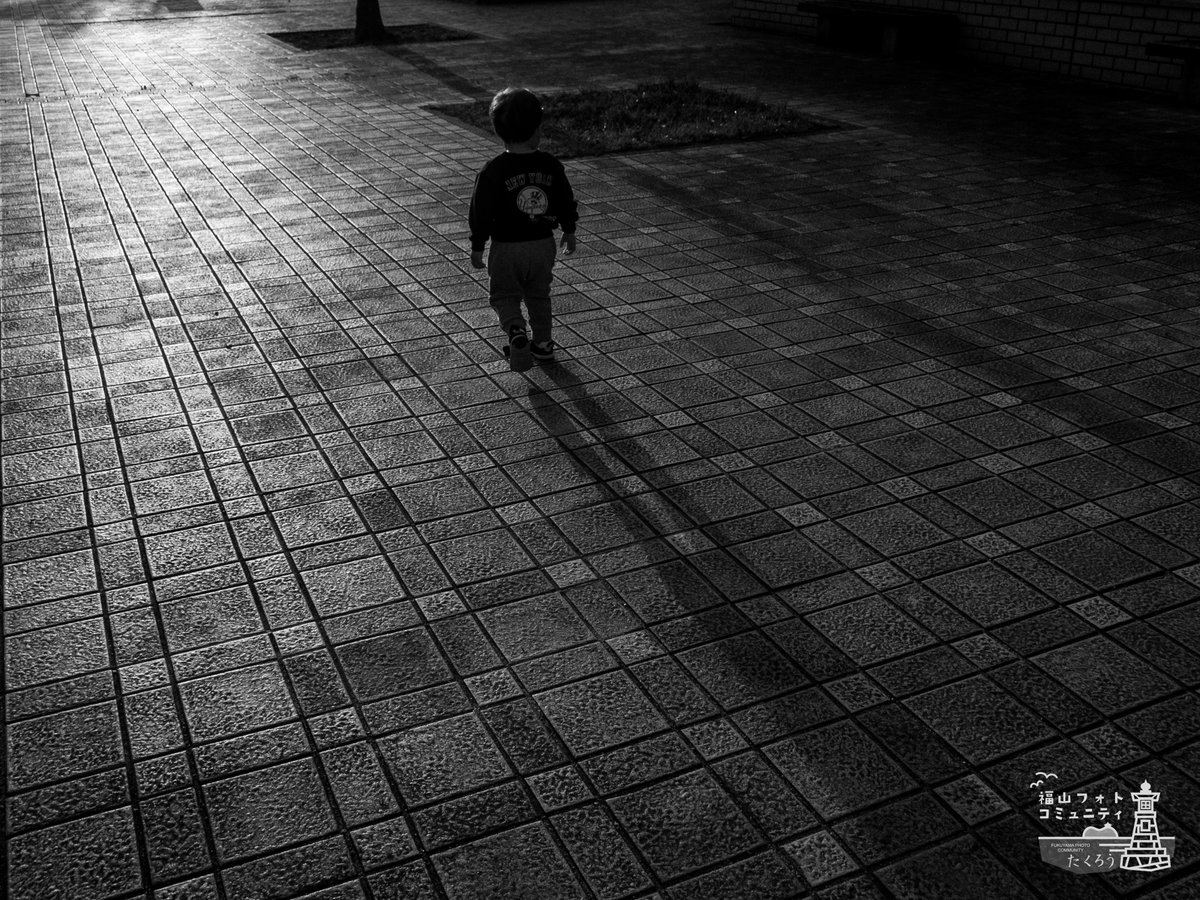 子どもと遊びながら、写真も撮れる‼️ コンデジは今の私にとって最強の