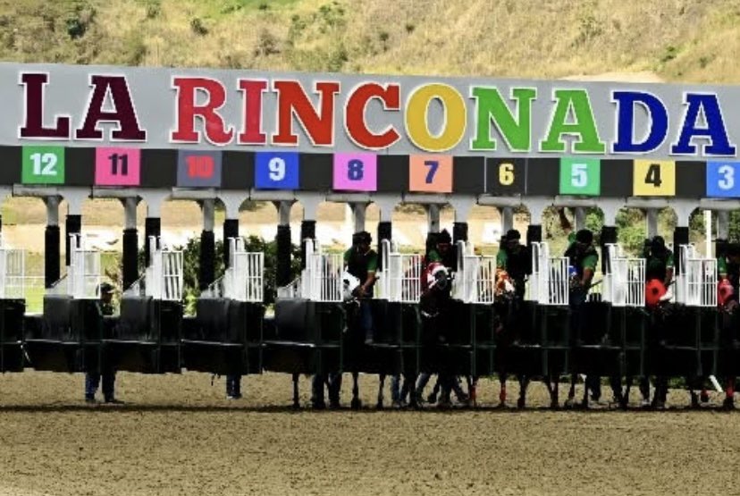#Hipismo Se van a disputar 11 carreras este domingo en La Rinconada sin pruebas selectivas 🏇🏇🏇