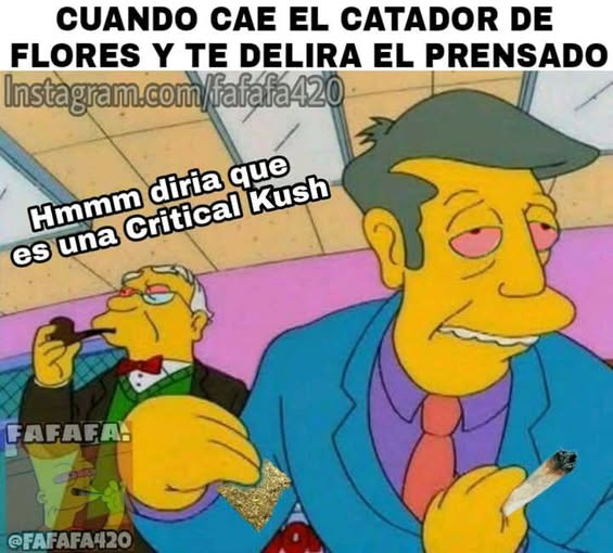 Homer El Malo tweet media