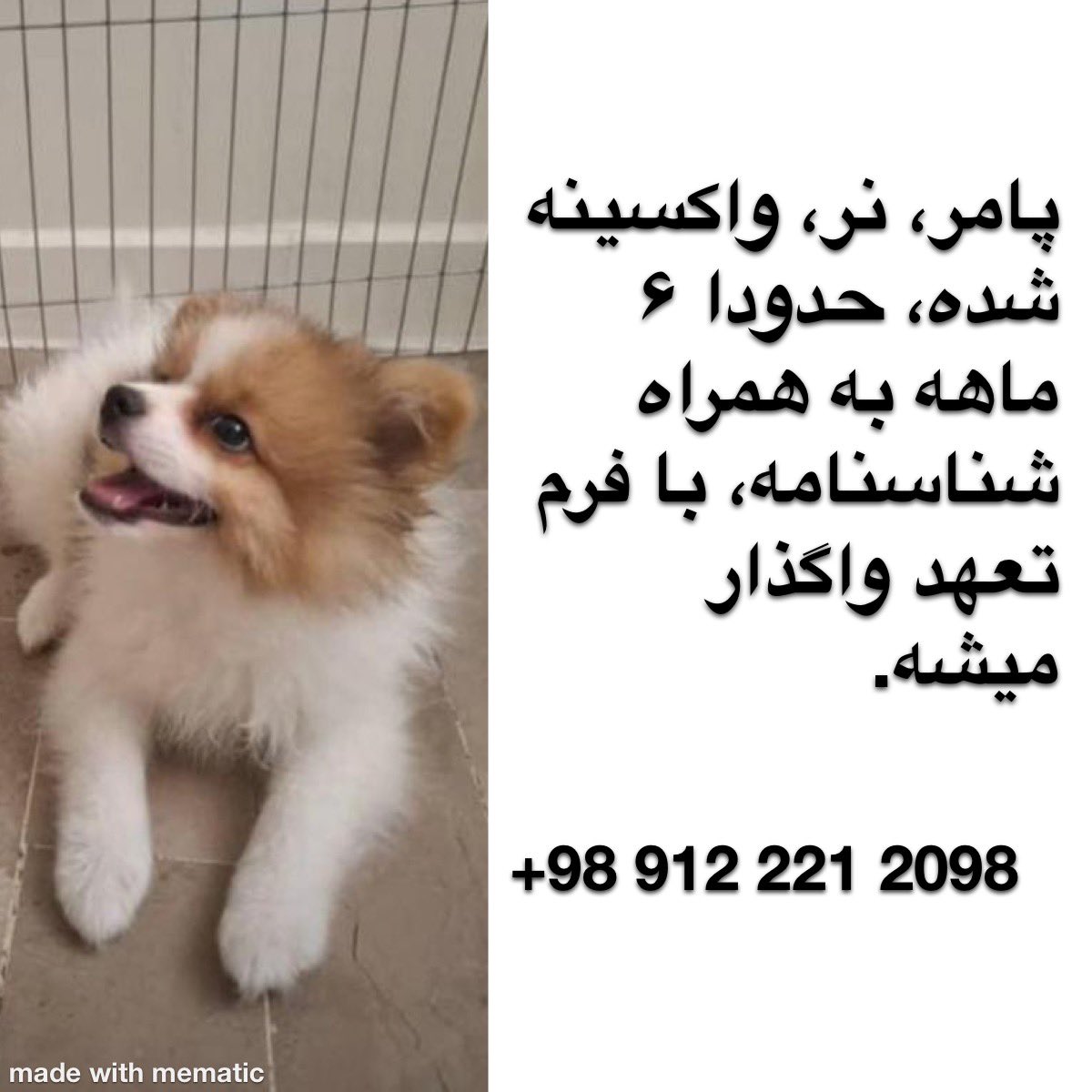 Dr. Prof. tweet media