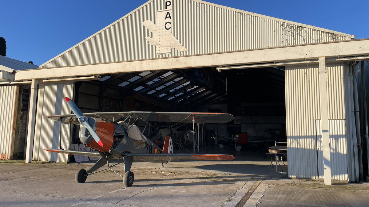 Alejandro De Prado tweet media