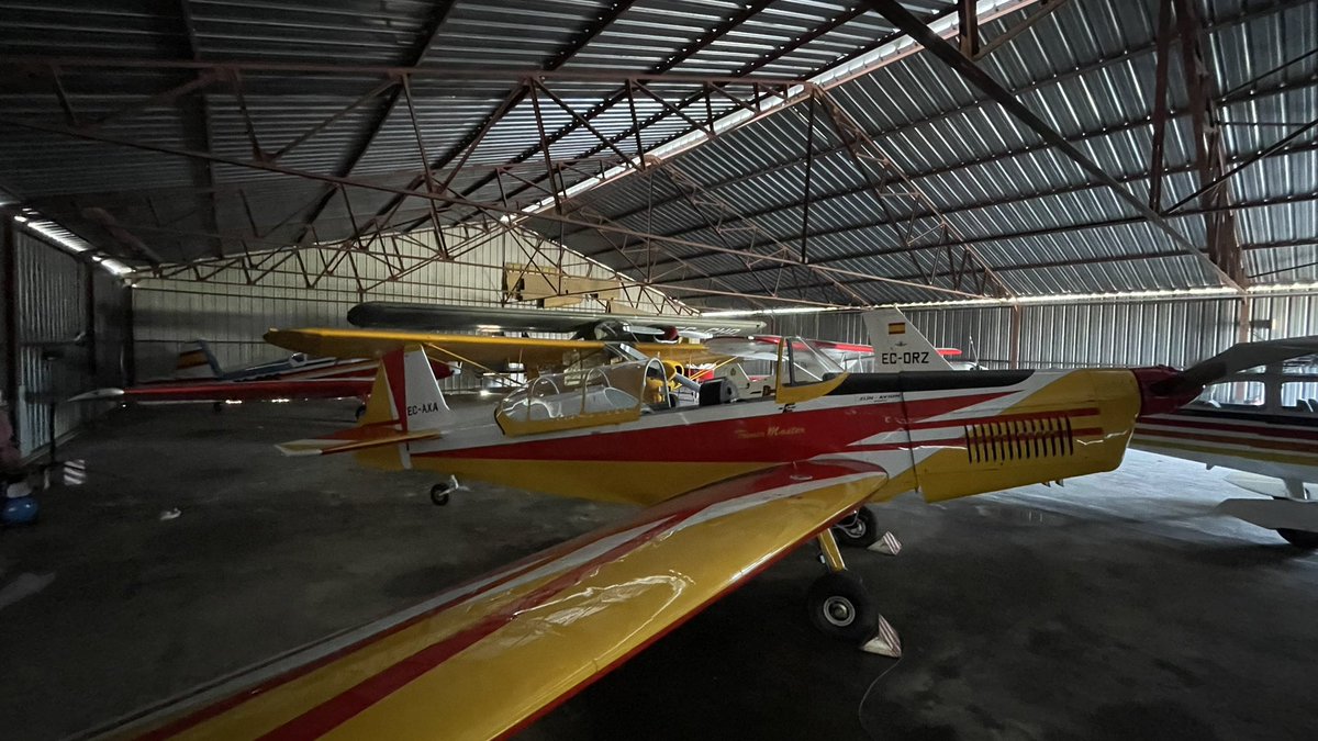 Alejandro De Prado tweet media