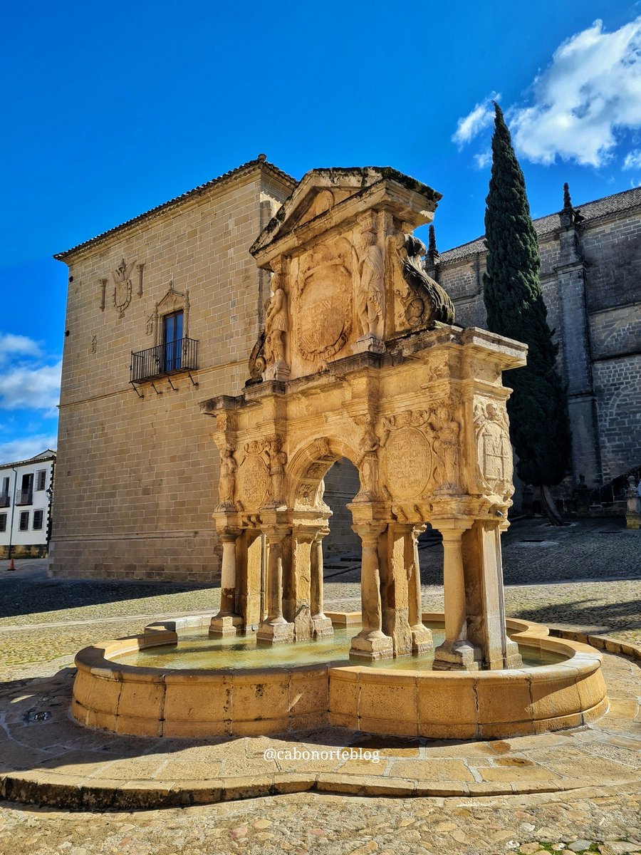 cabonorteblog tweet media