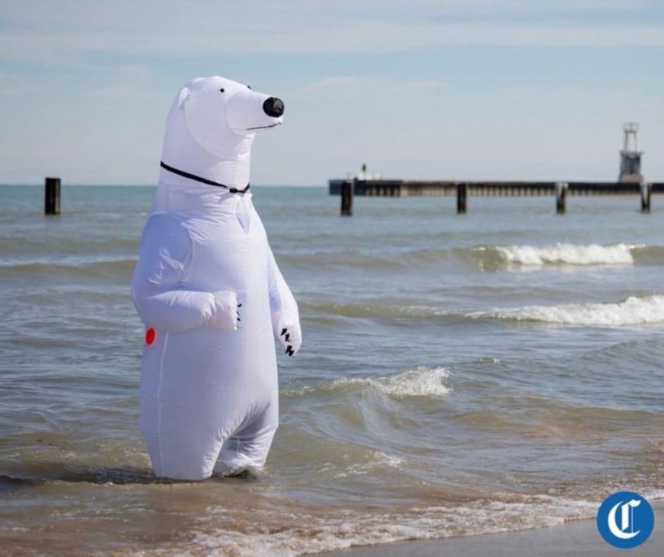 Chicago Therapeutic Children's Academy tweet media