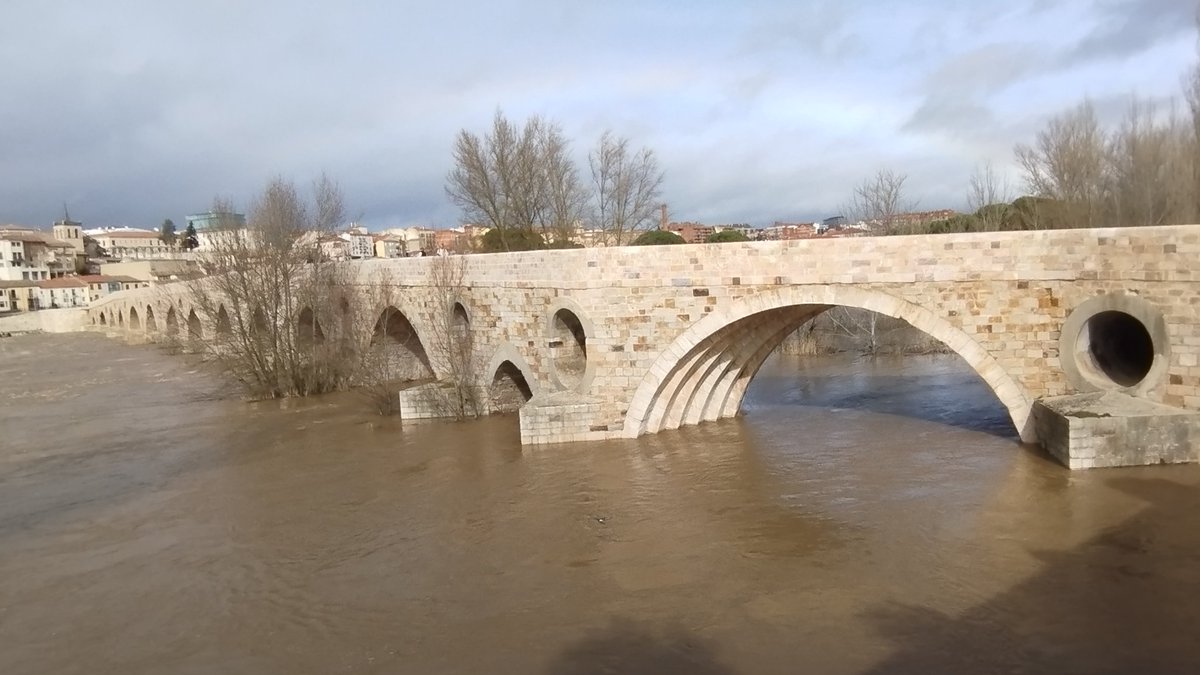 Manquilefs tweet media