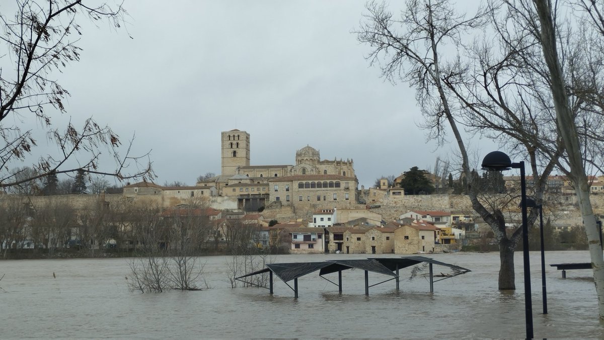 Manquilefs tweet media