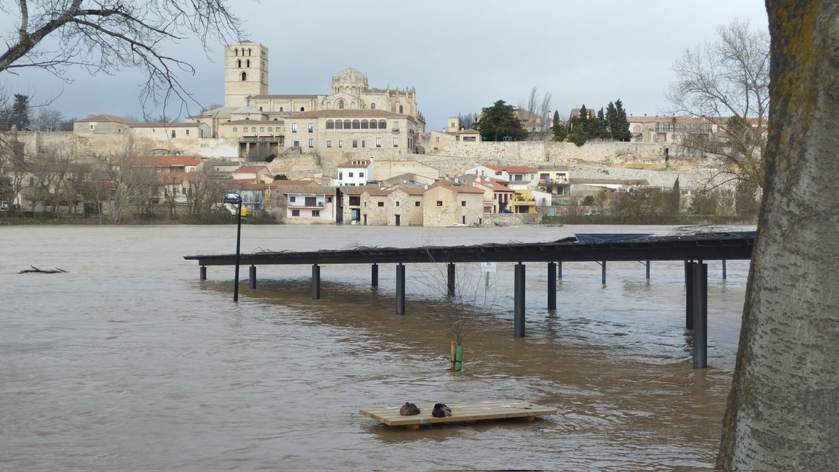 Manquilefs tweet media