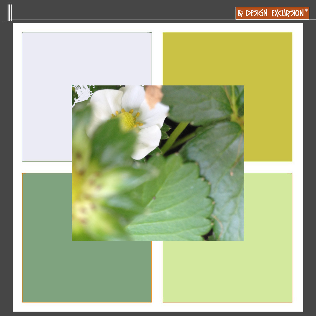 designexcursion's tweet image. fresh green growth is cool

#cooldesign #design #moodboardinspo #adesignexcursion