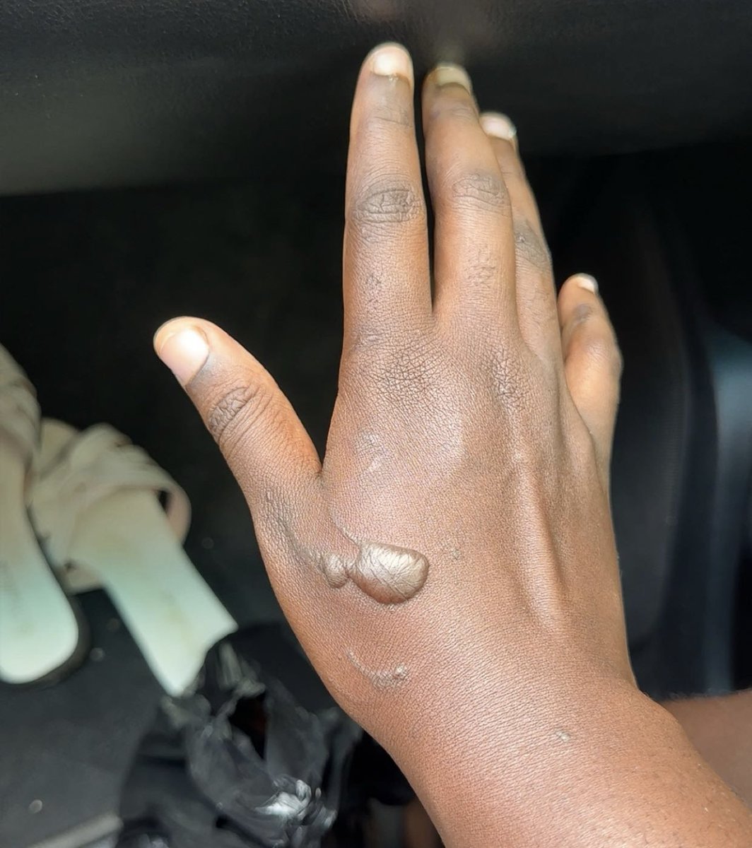 Chefabbys tweet media