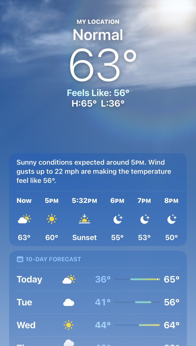 Barstool Birds tweet media