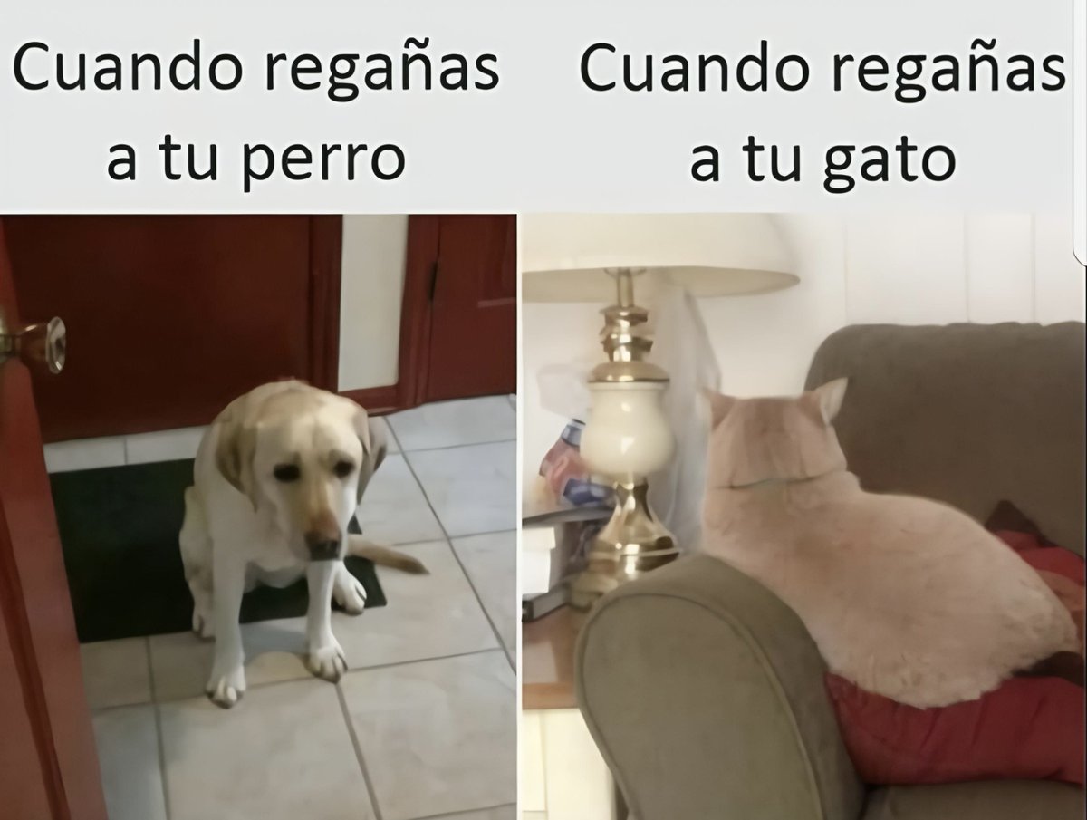 Dios (@dios_0ficial) on Twitter photo 