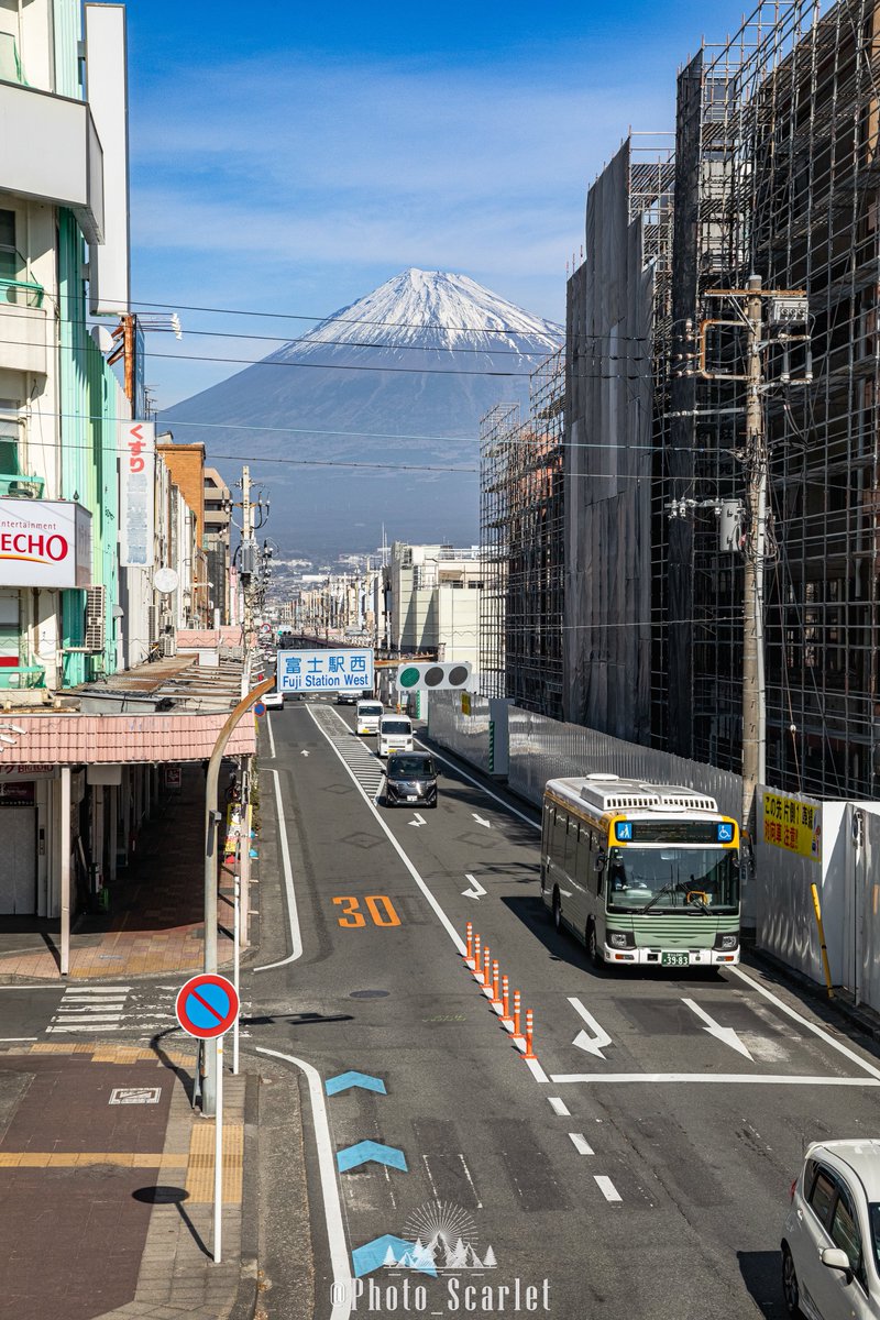 スカーレット@Photo tweet media