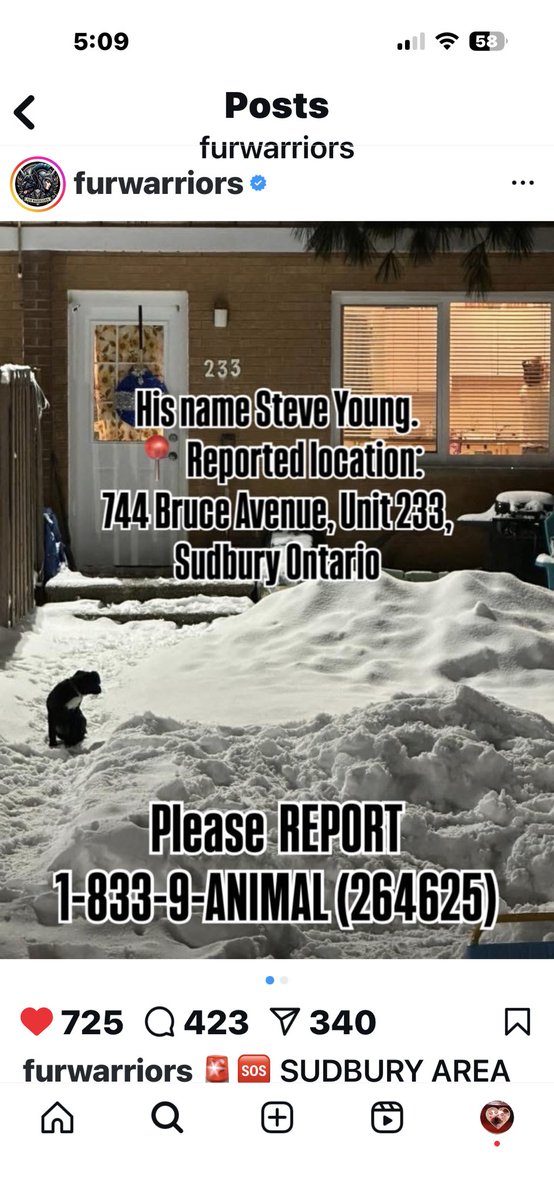 <a href="/TommyDrama604/">Tommy Delia</a> <a href="/6ixbuzztv/">6ixBuzzTV</a>