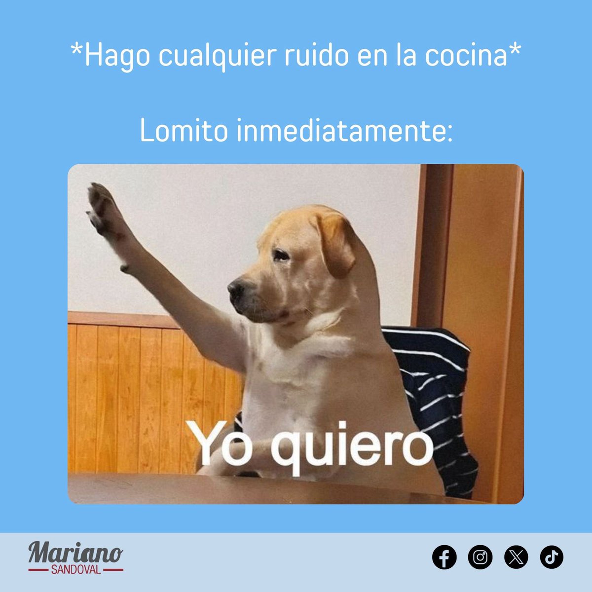 Siempre pasa🐕🤣