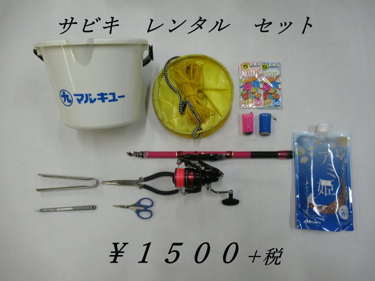 館山の釣果情報なら太洋釣具 tweet media