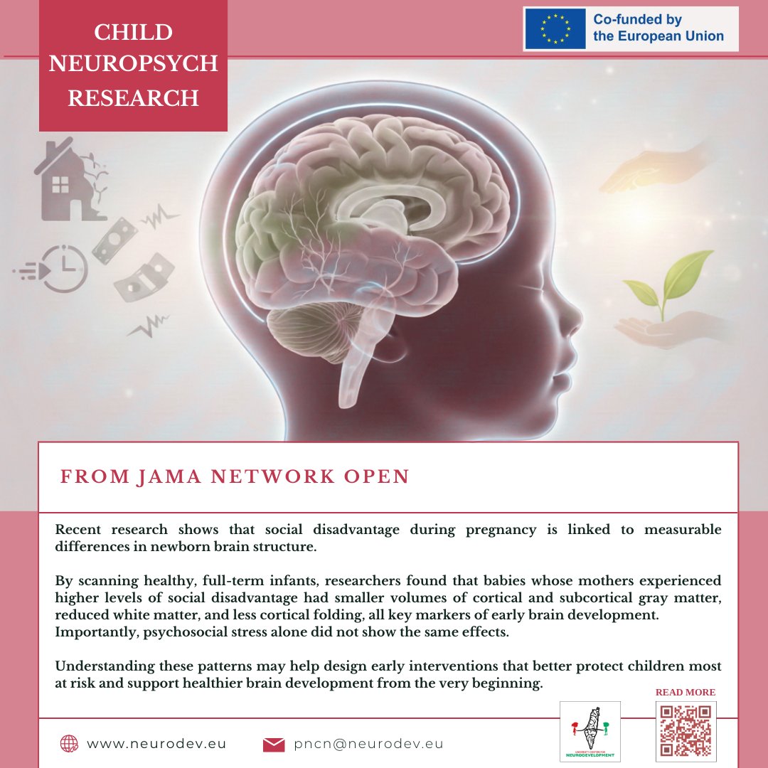 NeuroDevProject's tweet photo. https://t.co/ol3TTagZPf
Child Neuropsychology Research #1
--------------------------------------------------------------------------
#NeuroDev, #Neuro_Development_Project, #ErasmusPlus
Partners: #University_of_Granada, #Hebron_University, #Bethlehem_University, #An_Najah_National_University, #University_Clermont_Auvergne
#النمو_النفسي_العصبي #أطفالنا_مسؤوليتنا #جامعة_النجاح #جامعة_بيت_لحم #جامعة_الخليل