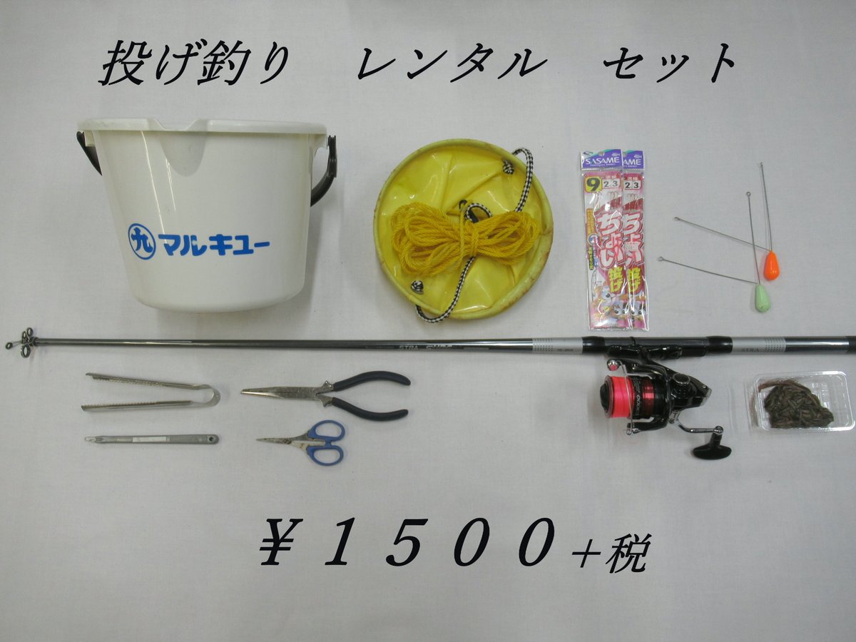 館山の釣果情報なら太洋釣具 tweet media