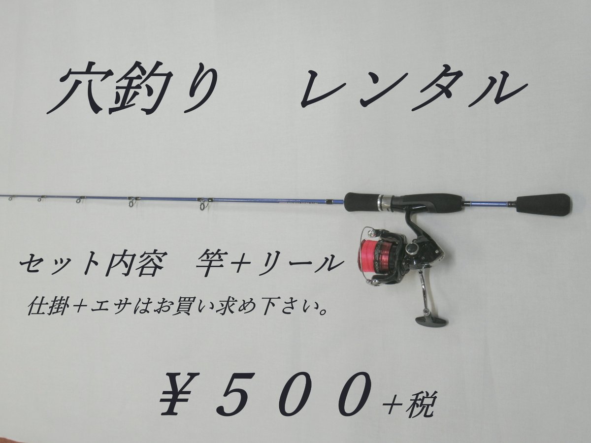 館山の釣果情報なら太洋釣具 tweet media